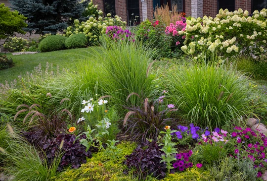 Sc&egrave;ne ext&eacute;rieure de jardinage, personne en pull bordeaux tenant d&eacute;licatement un plant avec motte de terre et mousse entre ses mains au-dessus d'un bac de plantation en bois